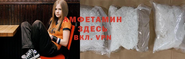 стаф Аркадак
