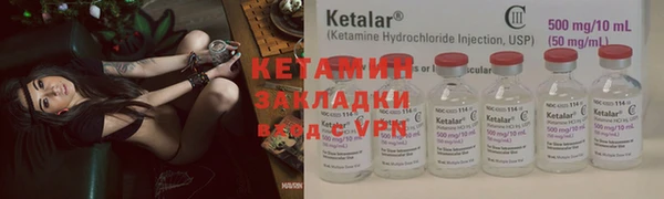 стаф Аркадак