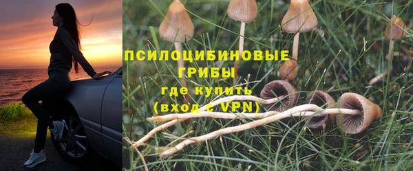 не бодяженный Армянск