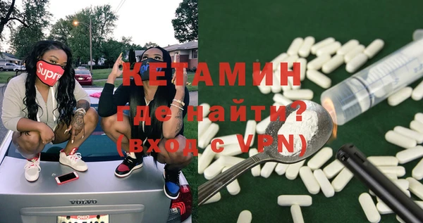 стаф Аркадак