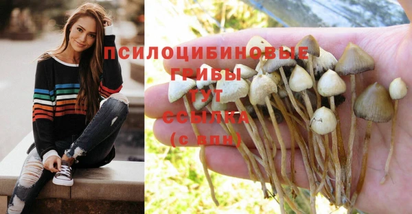 кокаин Арсеньев